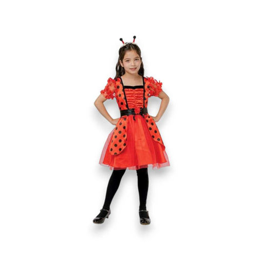 Picture of LADYBIRD COSTUME WITH HEADBAND, BELT 5-6 YEARS